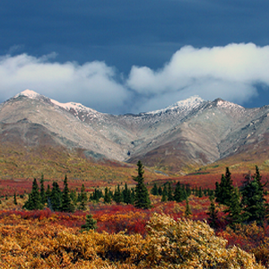 Alaska bush wilderness