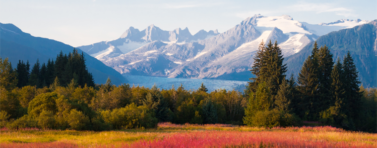 juneau bright meadow of flowers and mountain