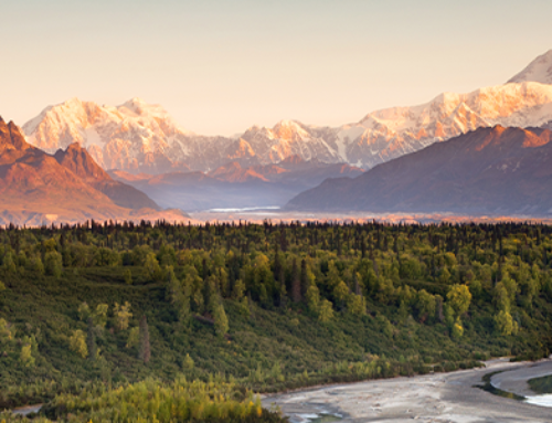 Discover the Most Popular Cities in Alaska Right Now