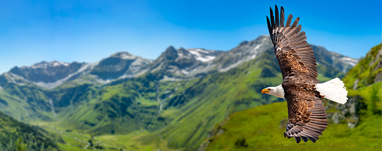 Eagle flies at high altitude with wings spread out on a sunny day in the mountains.