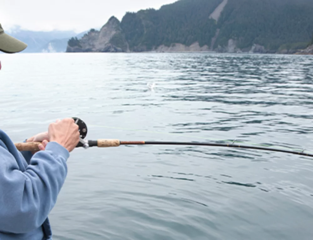 The Top 9 Reasons to Make the Move to Alaska Royal Alaskan Movers