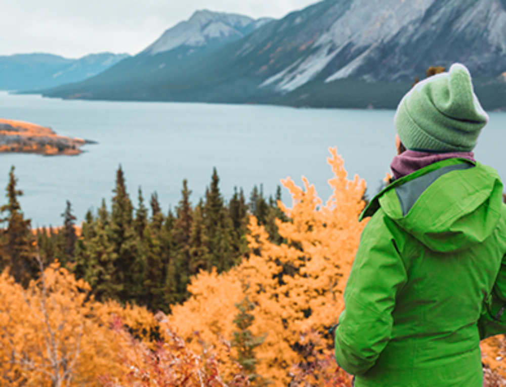 The Top 9 Reasons to Make the Move to Alaska Royal Alaskan Movers